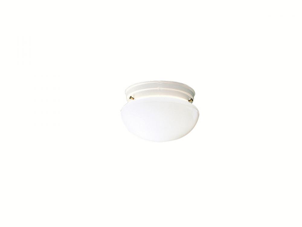 Flush Mount 1Lt (12 pack) (12 pack)