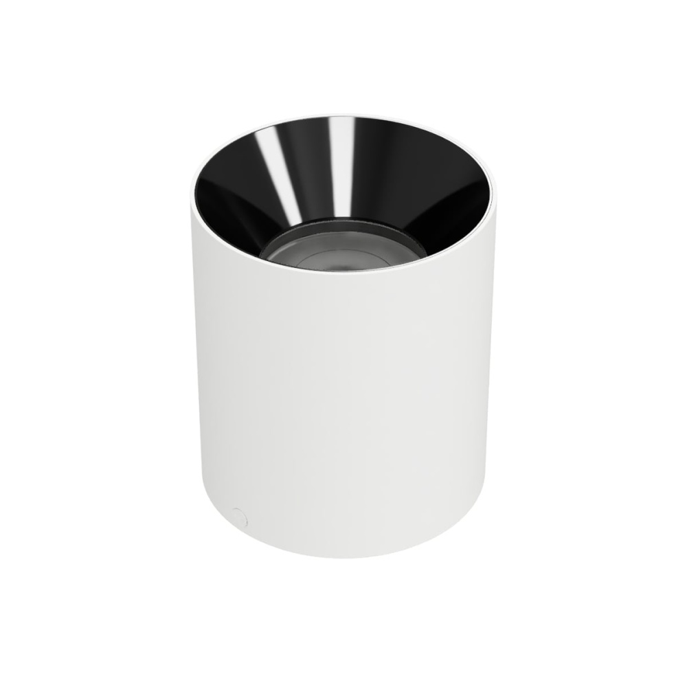 Zoron Round Flush Mount