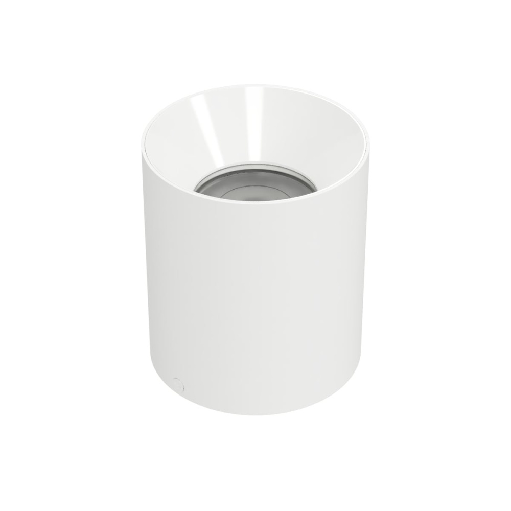 Zoron Round Flush Mount