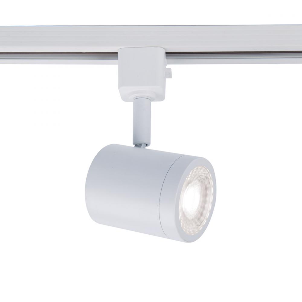 8010 Energy Star Track Luminaire