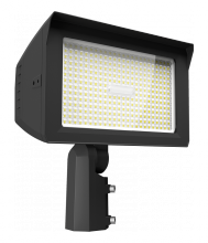 RAB Lighting X22-150/480 - X22 FLOOD 150/125/100/75W 7HX6V/6HX6V/5HX5V 3000/4000/5000K 480V SLIPFITTER + TRUNNION PHOTOCELL B