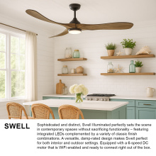 903856FDB-LDD_Swell_extra1.jpg