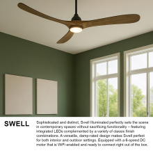 903872FDB-LDD_Swell_extra1.jpg