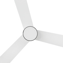907552FMW-LDD_Speck_alt6.jpg